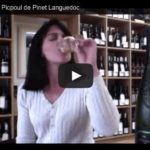 Perline Picpoul de Pinet Languedoc Tasting Cover