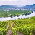 wine river france